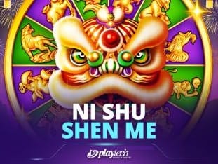 Ni Shu Shen Me game cover