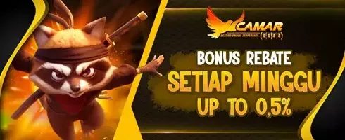 Rebate Mingguan VIP 0.5% promotion